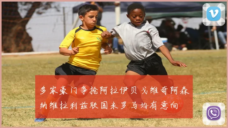 多家豪门争抢阿拉伊贝戈维奇阿森纳维拉利兹联国米罗马均有意向