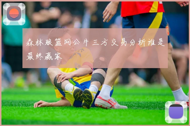 森林狼篮网公牛三方交易分析谁是最终赢家